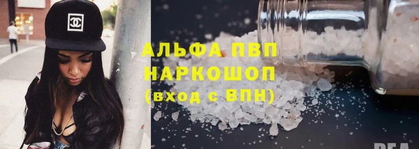 ГАЛЛЮЦИНОГЕННЫЕ ГРИБЫ Богданович