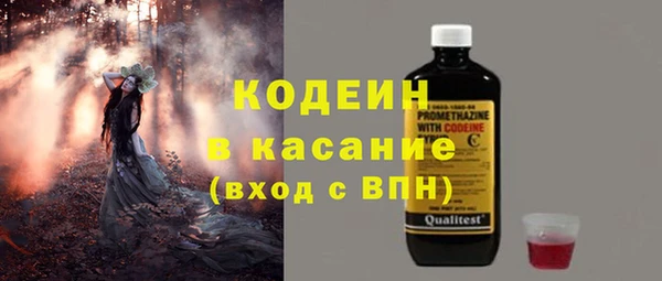 ГАЛЛЮЦИНОГЕННЫЕ ГРИБЫ Богданович