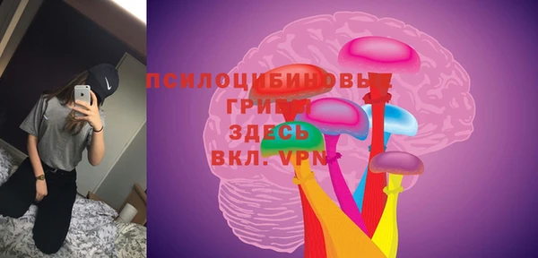 a pvp Богородицк