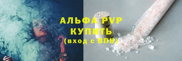 ГАЛЛЮЦИНОГЕННЫЕ ГРИБЫ Богданович