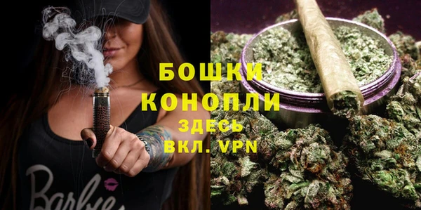 ГАЛЛЮЦИНОГЕННЫЕ ГРИБЫ Богданович