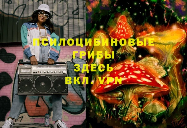 a pvp Богородицк