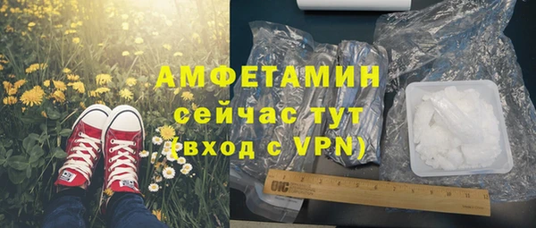 ГАЛЛЮЦИНОГЕННЫЕ ГРИБЫ Богданович